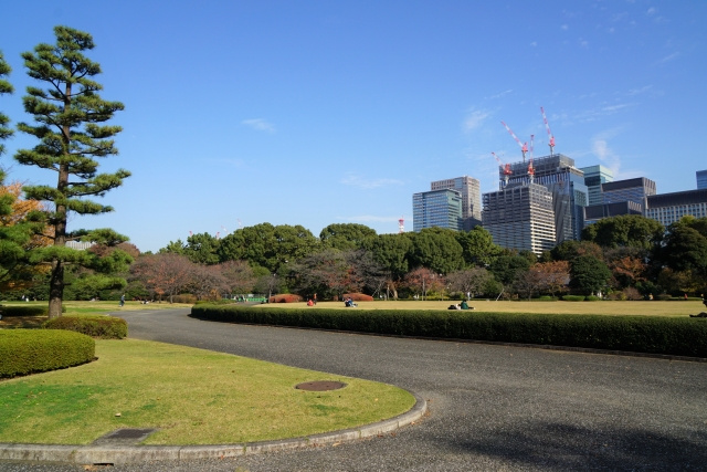 緑が多い皇居