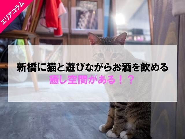 新橋に猫と遊びながらお酒を飲める癒し空間がある!?
