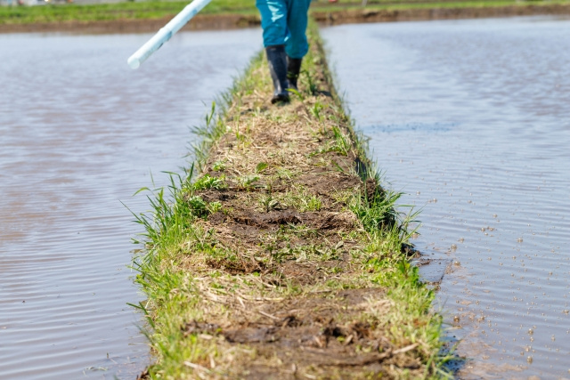 コロナ禍を乗り越えろ!港区赤坂にある「東京農村」のサービスをご紹介