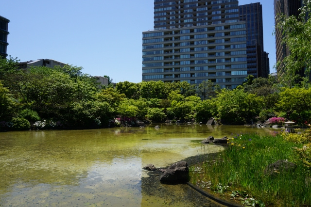 赤坂周辺で密を避けた外出や休憩におすすめの公園はどこ？