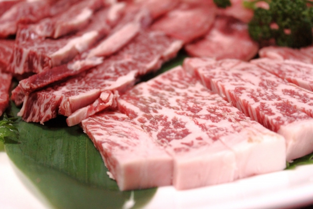 汐留駅で人気の美味しいお肉が食べられるお店をご紹介。コスパやロケーションを重視